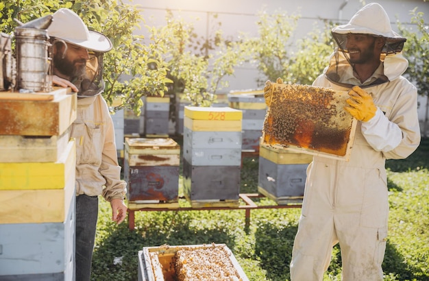 Two happy smiling beekeepers works with honeycomb full of bees in protective uniform working