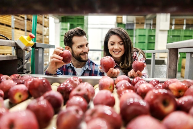 Two happy workers taking fresh organic apples from pile