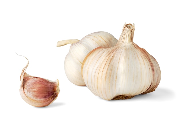 Two heads of fresh garlic and one clove isolated