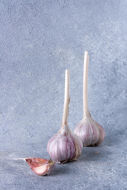 Two heads of garlic on a gray background