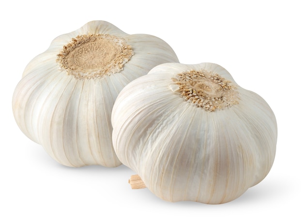 Two heads of garlic isolated