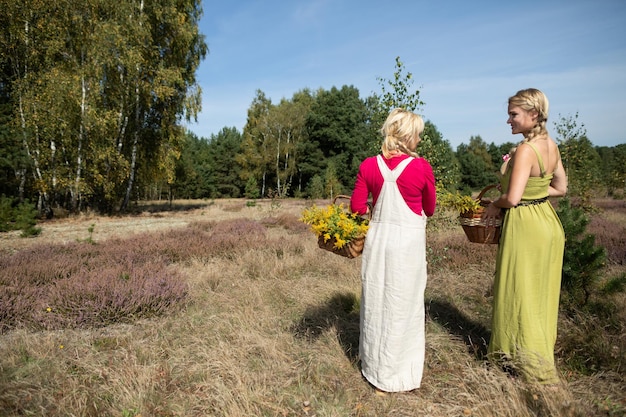 Two herbalists walk through a forest blooming with herbs Field herbs of heather