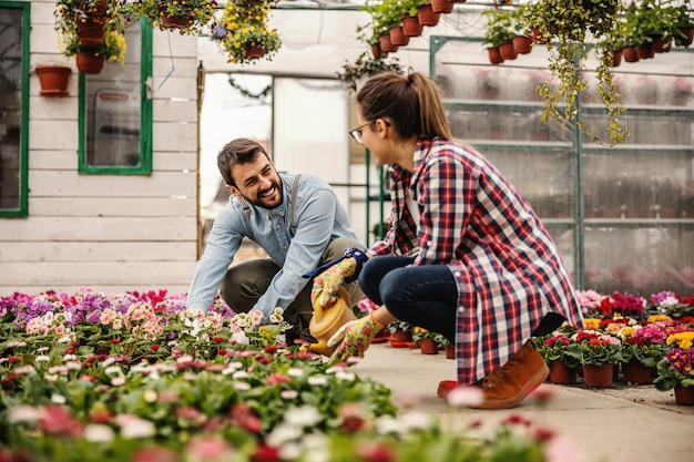 Two heterosexual nursery garden workers crouching and cultivate flowers they want to sell.