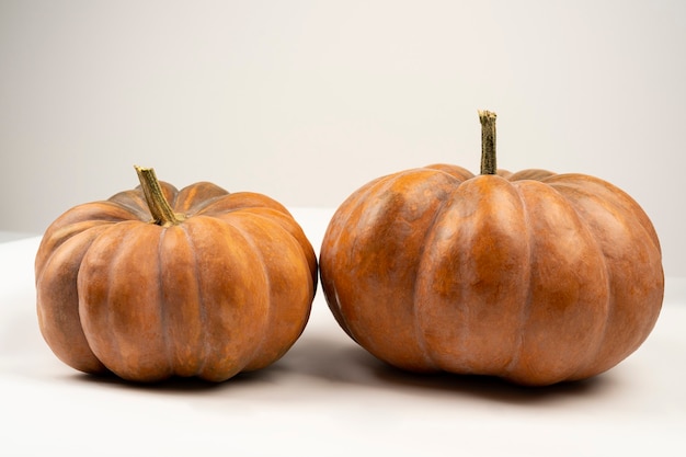 Two high resolution pumpkins isolated on a white background top view Orange squash on white