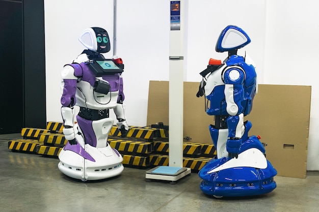 two humanoid robots with a friendly interface look at each other indoors