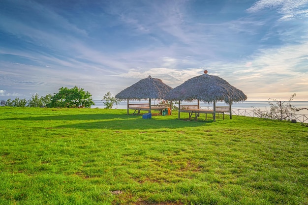 two huts in a green meadow in a sunny time