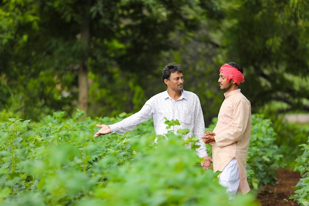 Two Indian farmers discuss at agriculture field.