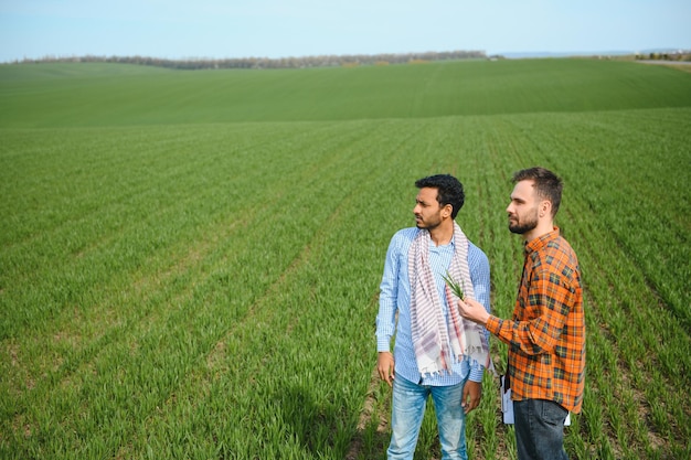 Two indian farmers standing at agriculture field