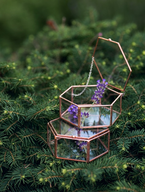 Two jewerly wedding glass boxes for rings