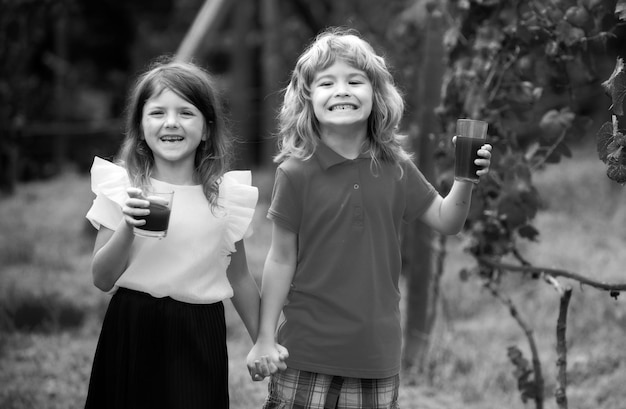 2人の子供が夏の公園で緑のスムージーを飲み兄弟と妹は自然の中で幸せに散歩しています