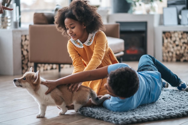 Two kids training the little dog and looking involved