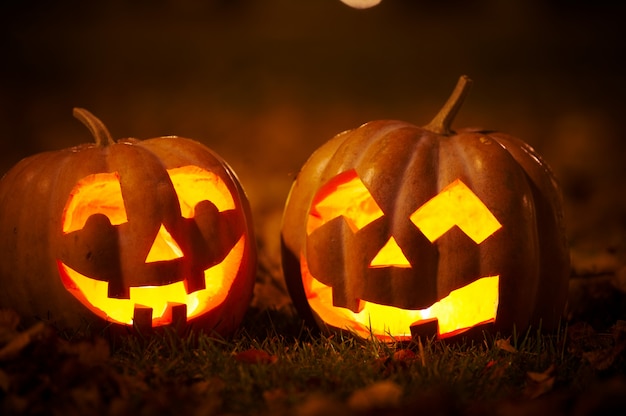 Two Kind Halloween Pumpkins in the park