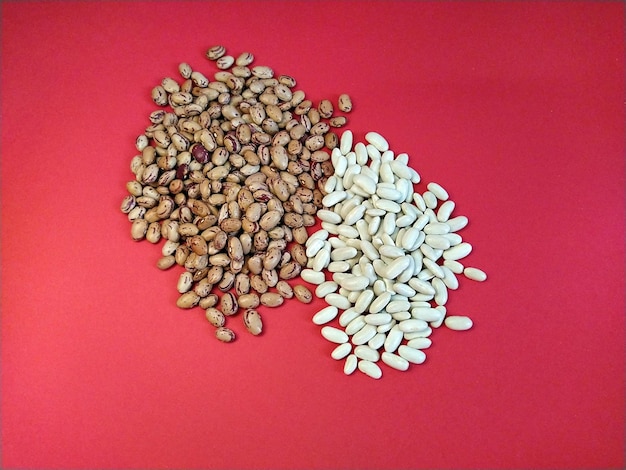 Two kinds of beans on a red background White and motley beans The concept of male and female yin and yang Postcard The idea of a healthy diet veganism vegetarianism Randomly laid grain