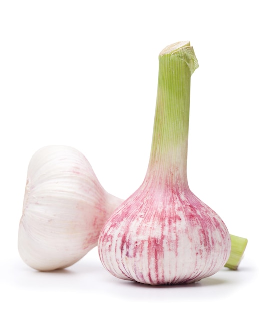 Two large young garlic isolated on a white background