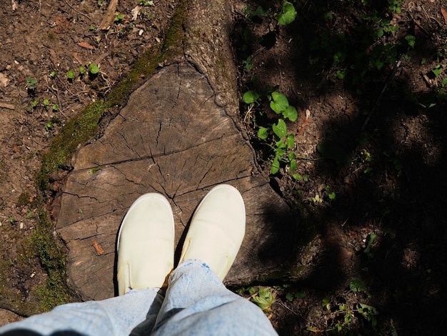 Две ноги стоят на пне, вид сверху, экология и прогулка по лесу.