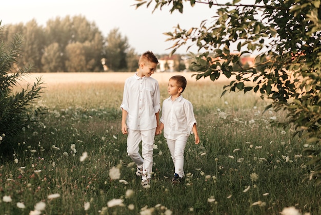 Two little boy brothers play and walk in nature in the summer. Happy childhood. Positive emotions