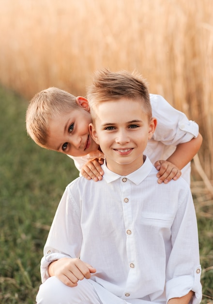 Two little boy brothers play and walk in nature in the summer. Happy childhood. Positive emotions