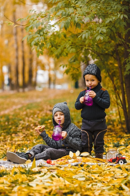 Two little boys brothers seat on plaid in park and drink eat homemade pizza red apples