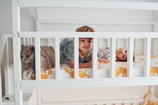 Two little boys resting and have fun indoors in the bedroom together Cat sitting near them