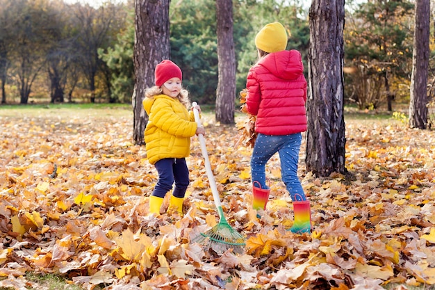 写真 秋のカエデの葉の山で掻き集める2人のかわいい女の子