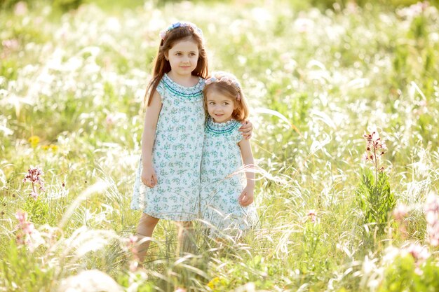 Two little girl sisters walk in a field in the summer