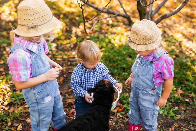 Two little girls and baby boy looking at black sheep and feeding it