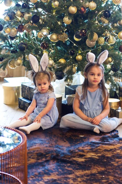 Two little girls in bunny costumes a symbol of 2023 in a chair near Christmas trees