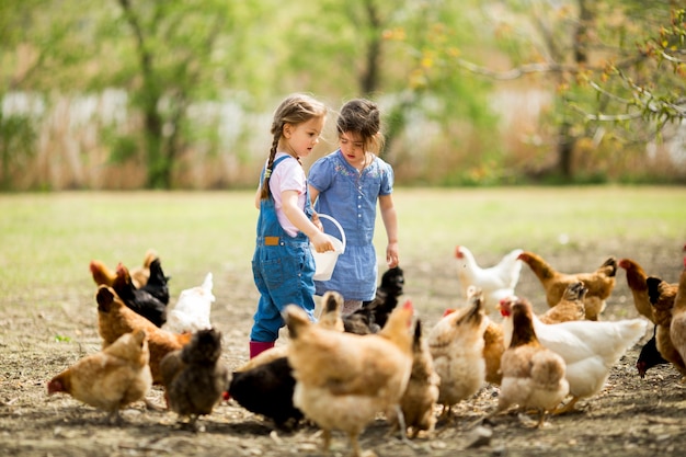 Две маленькие девочки, кормящие цыплят