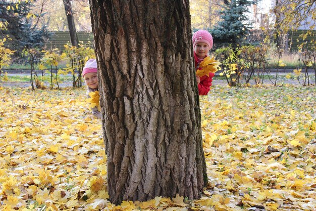 Two little girls hiding themselves behind the tree in the park