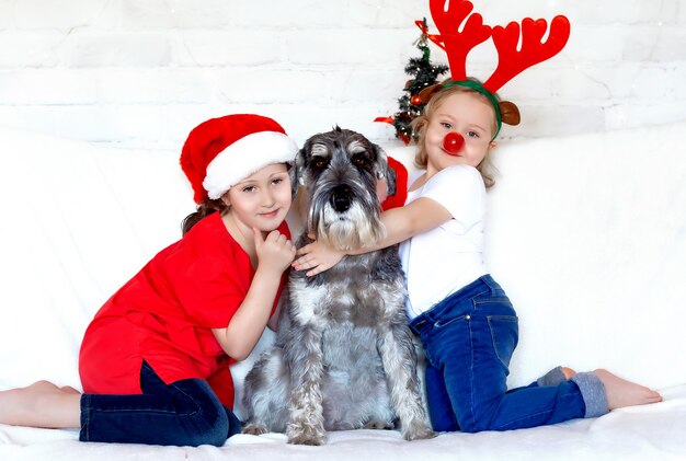 Two little girls in a Santa Claus hat are sitting with their beloved dog