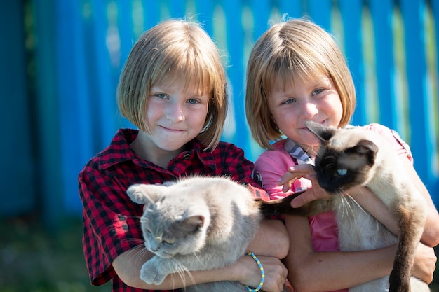 Two little girls twin sisters are playing with cats