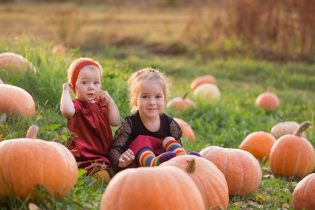 Two little girls with orange pumpkins at sunset