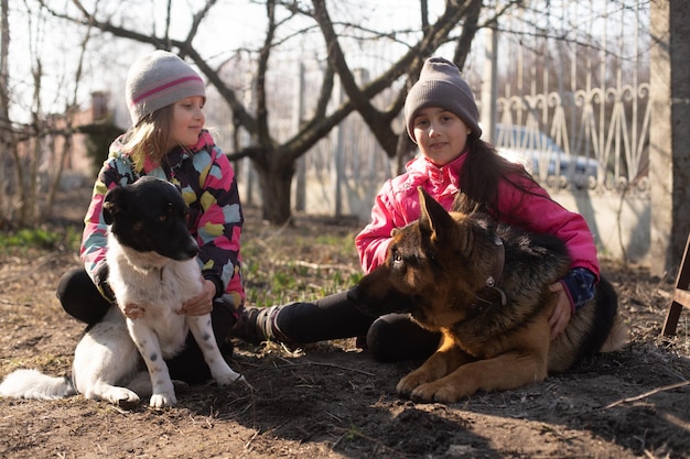 Two little girls with two dogs