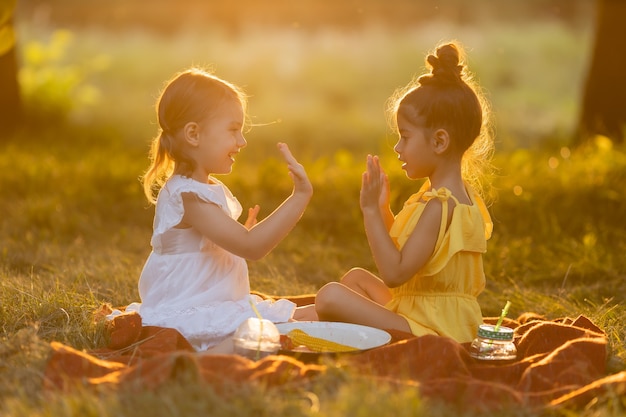 Two little mixed race girls play talk and share secrets in the park outdoors sitting on a blanket