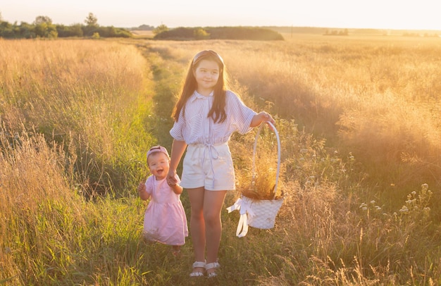 Two little sisters in summer field at sunset