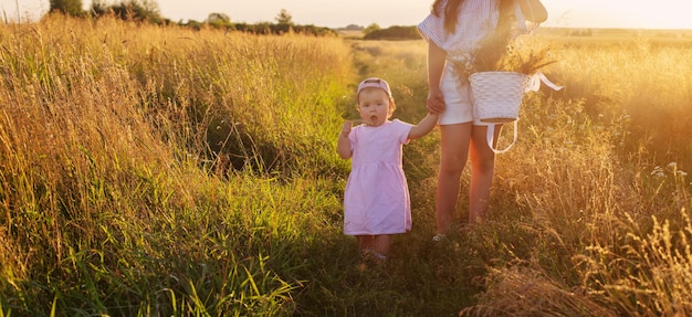 Two little sisters in summer field at sunset