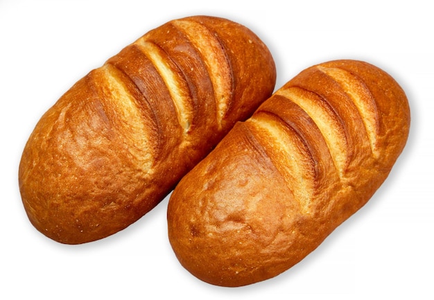  바탕 에 두 