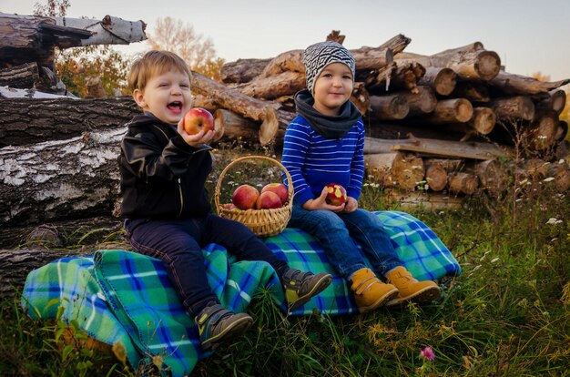 Two lovely boys of two years sitting on rug on log and eating bright red juicy apples from a wicker basket