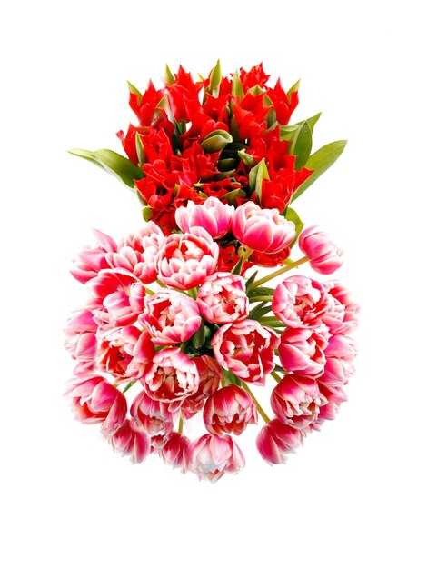 Two luxurious bouquets of red and pink tulips in the shape of number 8