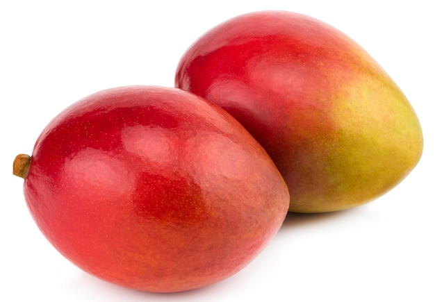 Two mangoes isolated on white background Clipping Path.