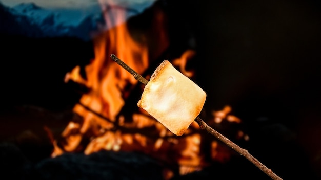 검은색 바탕에 모닥불 위에 구이 막대기에 두 개의 마시멜로. 캠핑 여름 재미 개념입니다. 가을 피크닉