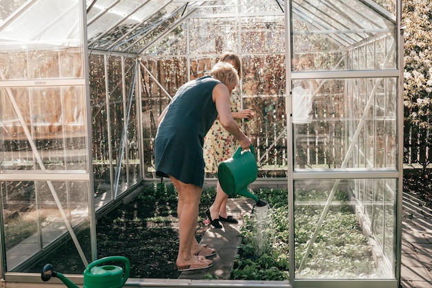 Two mature women gardening in greenhouse, watering plants with plastic watering can