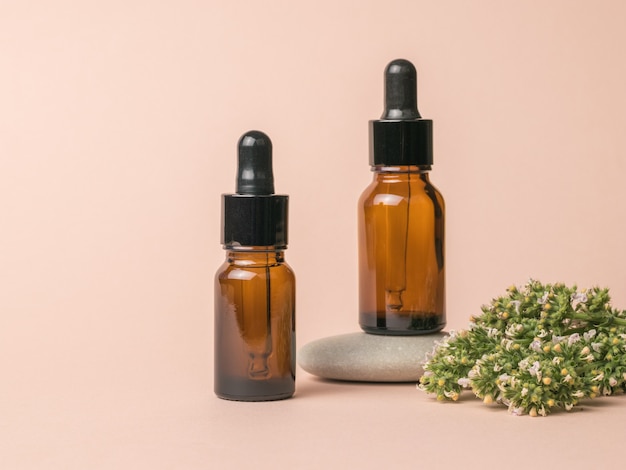 Two medical bottles, medicinal herbs and a stone on a beige background. The concept of treatment and body care using natural remedies.