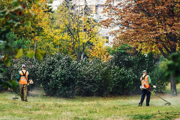 Двое мужчин в парке косят траву косилками.