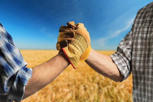 Two men shaking hands in field