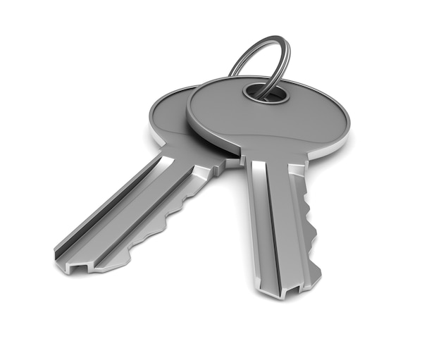 Two metallic keys on white background. isolated 3d illustration