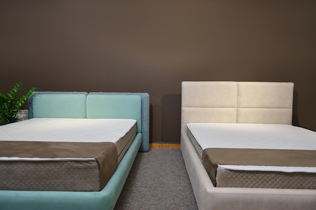 Two modern stylish pink and blue pastel velour double beds with
orthopedic hard mattresses displayed in the showroom of a furniture
store