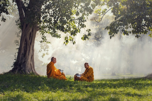 Two monks meditation under the trees with sun ray, buddha religion concept