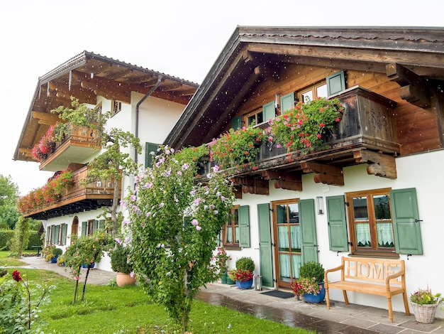 Two neighboring houses with many plants in the courtyard