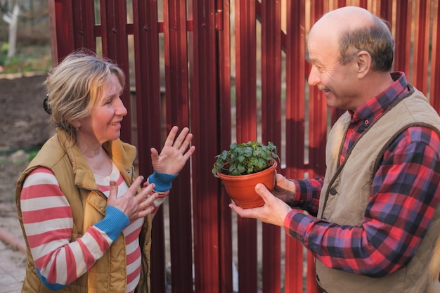 Two neighbors man and woman looking on new plant in pot